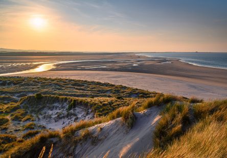 Lindisfarne Nature Reserve Istock Aspect Ratio 444x310