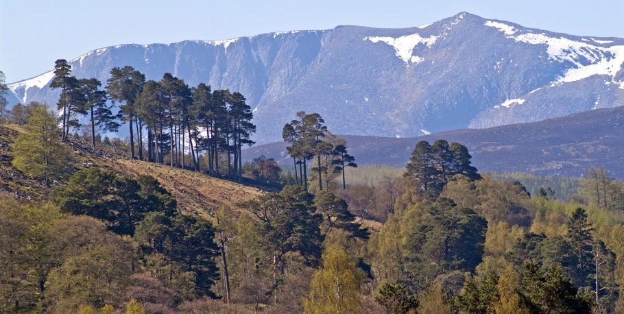 Lochnagar On Royal Deeside T03417606jhp