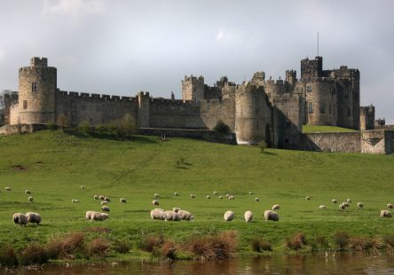 Alnwick Istock Scaled Aspect Ratio 444x310