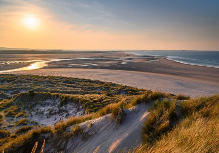 Lindisfarne Nature Reserve Istock Aspect Ratio 444x310