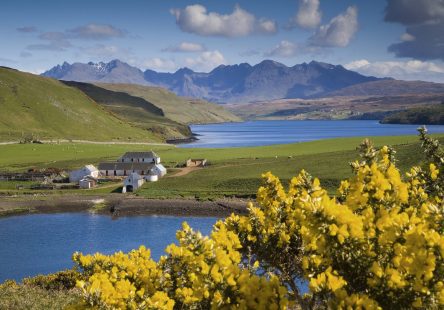 Skye 1 Scaled Aspect Ratio 444x310