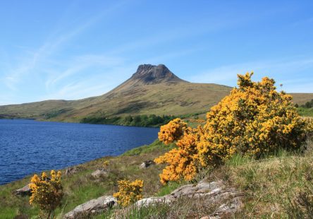 Stac Pollaidh Scaled Aspect Ratio 444x310